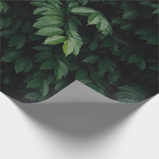 GROENBOOM CADEAUPAPIER (Hoek)