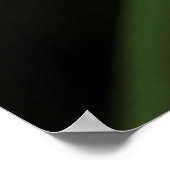 Groenboomkikker (Hyla cinerea) 2 Poster (Hoek)