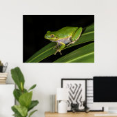 Groenboomkikker (Hyla cinerea) 2 Poster (Thuiskantoor)