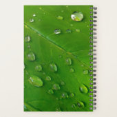 Groene aangepaste planner 2023 (Achterkant)