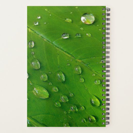 Groene aangepaste planner 2023 (Achterkant)