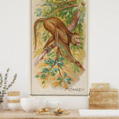  groene aap van Barbados Illustratie Poster (Keuken)