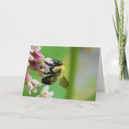 Groene Aarde Kaart (Voorkant)