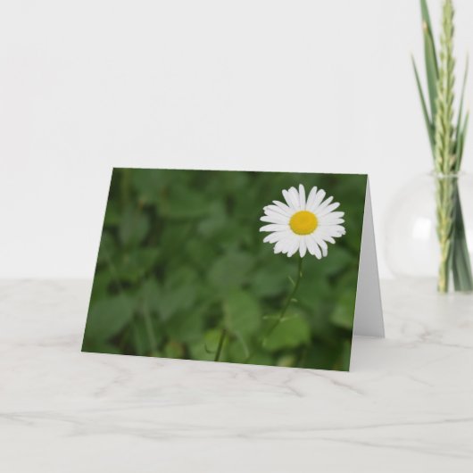 Groene Aarde Kaart (Voorkant)