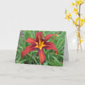 Groene Aarde Kaart (Gele Bloem)