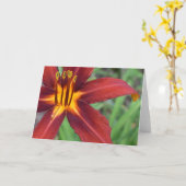 Groene Aarde Kaart (Gele Bloem)