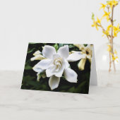 Groene Aarde Kaart (Gele Bloem)