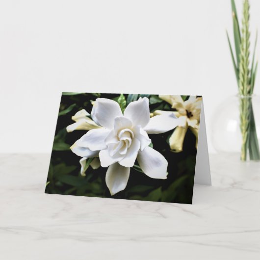 Groene Aarde Kaart (Voorkant)