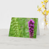 Groene Aarde Kaart (Gele Bloem)