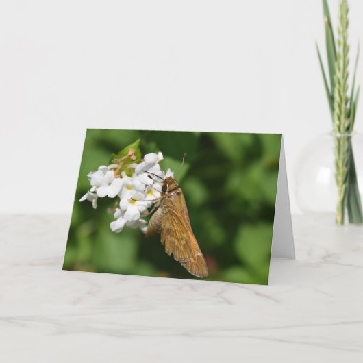 Groene Aarde Kaart (Voorkant)