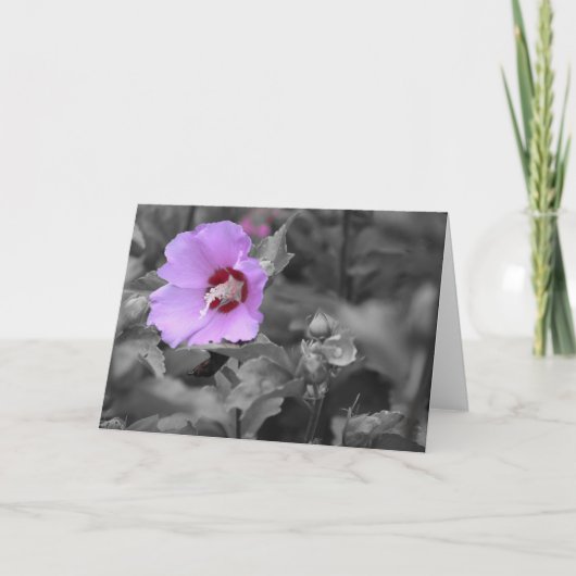 Groene Aarde Kaart (Voorkant)