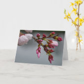 Groene Aarde Kaart (Gele Bloem)