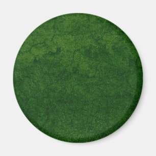 Groene Aarde Magneet