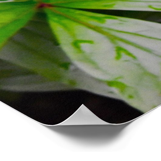 Groene aarde, poster (Hoek)