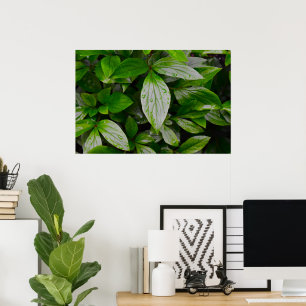 Groene aarde, poster
