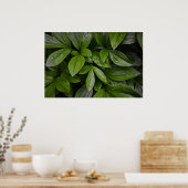 Groene aarde, poster (Keuken)