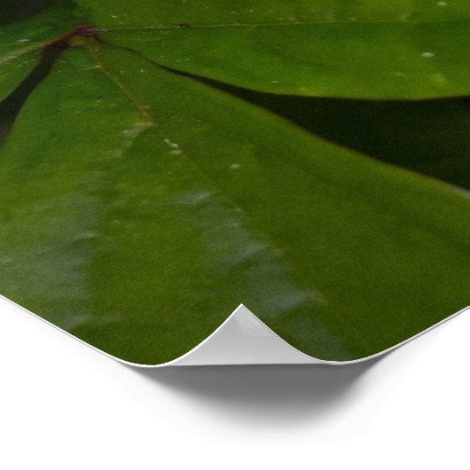 Groene aarde, poster (Hoek)