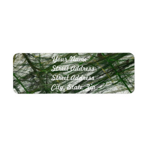 Groene Abstracte Fractal Return Address Sticker