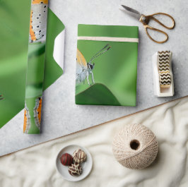 Groene achtergrond & gele,witte vlinder & spin cadeaupapier