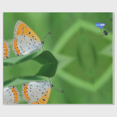 Groene achtergrond & gele,witte vlinder & spin cadeaupapier (Vlak)