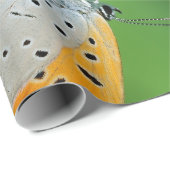 Groene achtergrond & gele,witte vlinder & spin cadeaupapier (Rol Hoek)