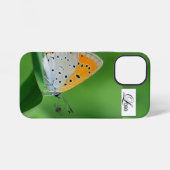 Groene achtergrond & gele,witte vlinder & spin iPhone hoesje (Achterkant horizontaal)