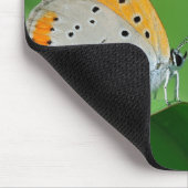 Groene achtergrond & gele,witte vlinder & spin muismat (Hoek)