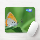 Groene achtergrond & gele,witte vlinder & spin muismat (Met muis)