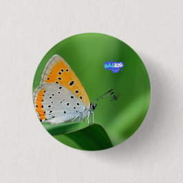 Groene achtergrond & gele,witte vlinder & spin ronde button 3,2 cm