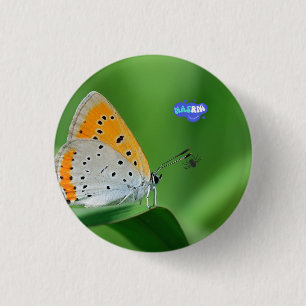 Groene achtergrond & gele,witte vlinder & spin ronde button 3,2 cm