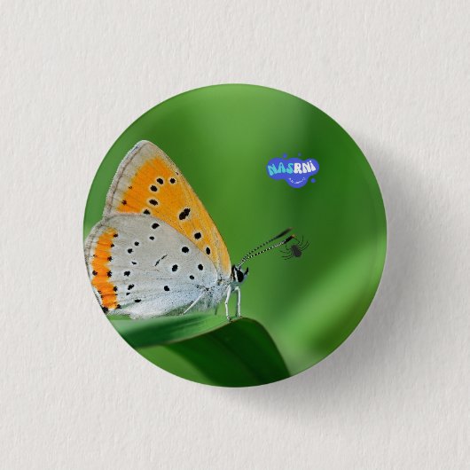 Groene achtergrond & gele,witte vlinder & spin ronde button 3,2 cm (Voorkant)