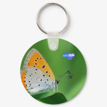 Groene achtergrond & gele,witte vlinder & spin