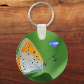 Groene achtergrond & gele,witte vlinder & spin sleutelhanger (Voorkant)