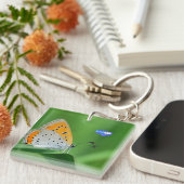 Groene achtergrond & gele,witte vlinder & spin sleutelhanger (Voorkant Rechts)