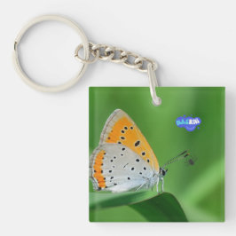 Groene achtergrond & gele,witte vlinder & spin sleutelhanger