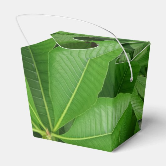 Groene afgedankte tas bedankdoosjes (Achterkant)