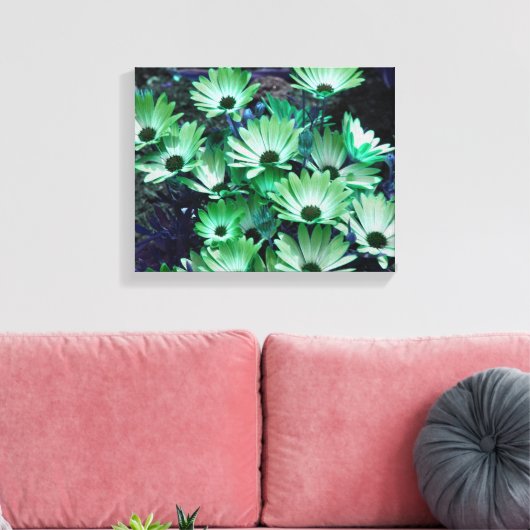 Groene Afrikaanse madeliefjes Abstracte bloem Canvas Afdruk (Insitu (Woonkamer))