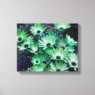 Groene Afrikaanse madeliefjes Abstracte bloem Canvas Afdruk