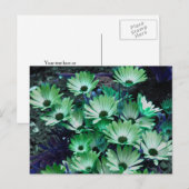 Groene Afrikaanse madeliefjes bloem gepersonalisee Briefkaart (Voorkant / Achterkant)