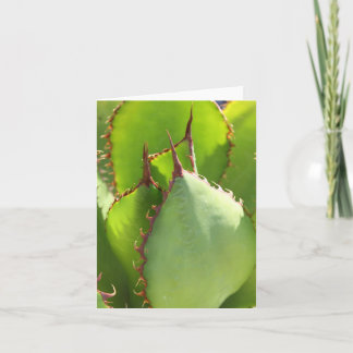 Groene agave-kaart kaart