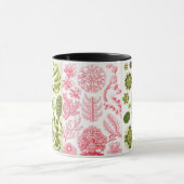 groene algen , diverse , haeckel mok (Midden)