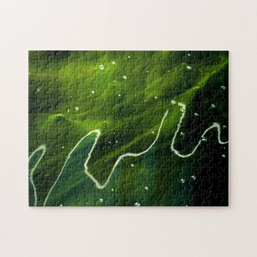 Groene algen en water 11x14 252pc jpcn legpuzzel (Horizontaal)