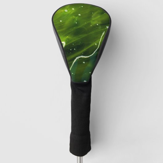 Groene algen en water dcna golfheadcover (Voorkant)