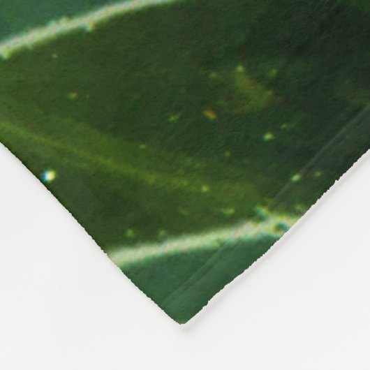 Groene algen en water fbcna fleece deken (Hoek)