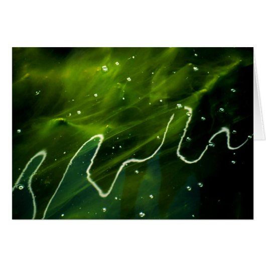 Groene algen en water gccnm (Voorkant Horizontaal)