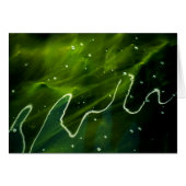 Groene algen en water gcna (Voorkant Horizontaal)