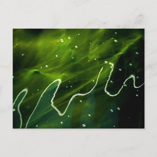 Groene Algen en Water pc arc4 Briefkaart (Voorkant)