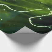 Groene algen en water wpcnm cadeaupapier (Hoek)