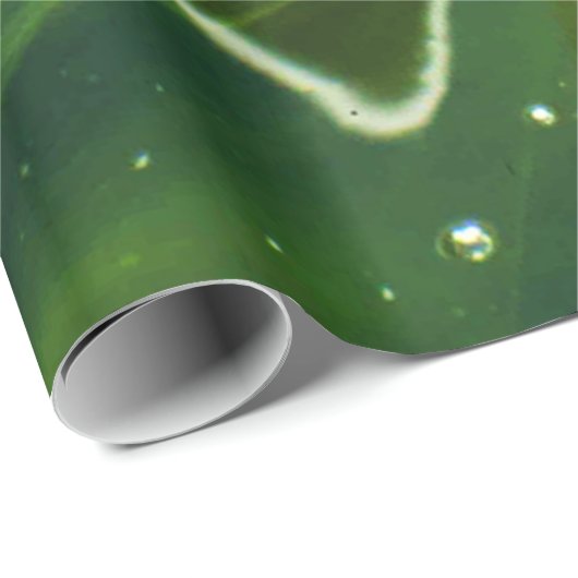 Groene algen en water wpcnm cadeaupapier (Rol Hoek)