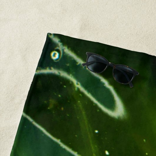 Groene algen en waterbacteriën strandlaken (In situ)